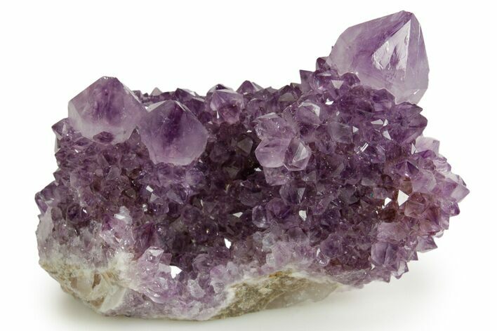Deep-Purple Cactus Amethyst Crystal Cluster - South Africa #364581